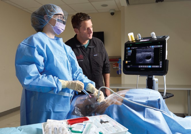 Vascular Surgery